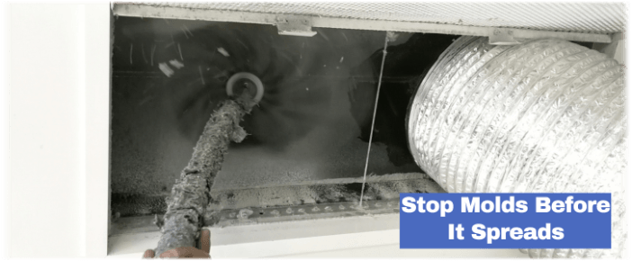 Air Duct Mold Removal in Alpharetta