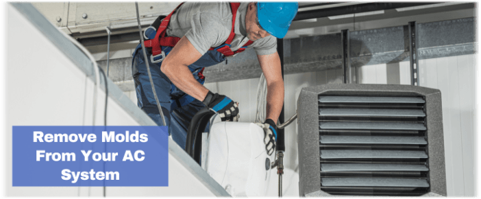 HVAC Mold Removal Alpharetta